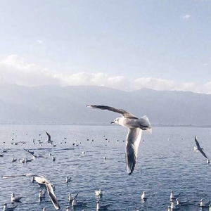 东京热高清无码系列
